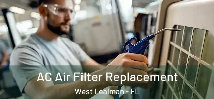 AC Air Filter Replacement West Lealman - FL