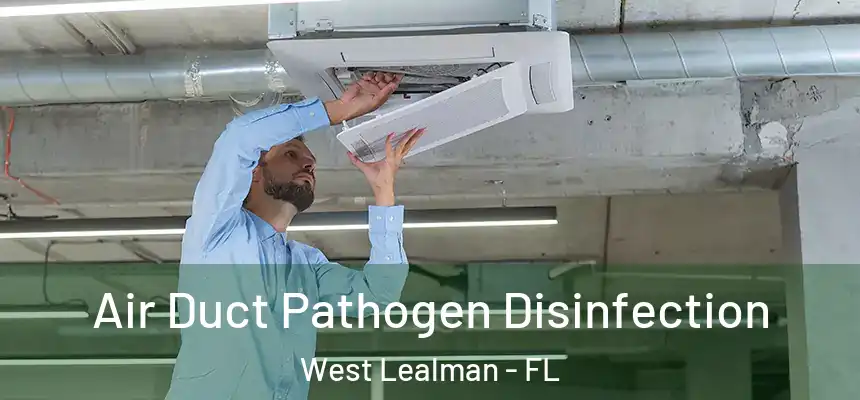 Air Duct Pathogen Disinfection West Lealman - FL