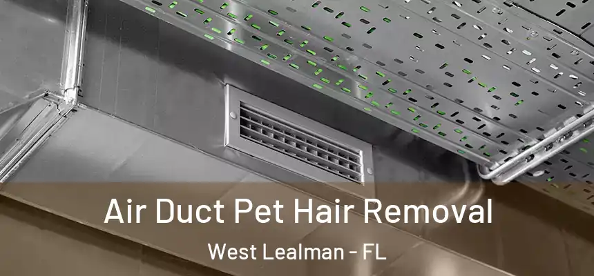 Air Duct Pet Hair Removal West Lealman - FL