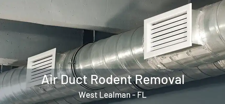 Air Duct Rodent Removal West Lealman - FL