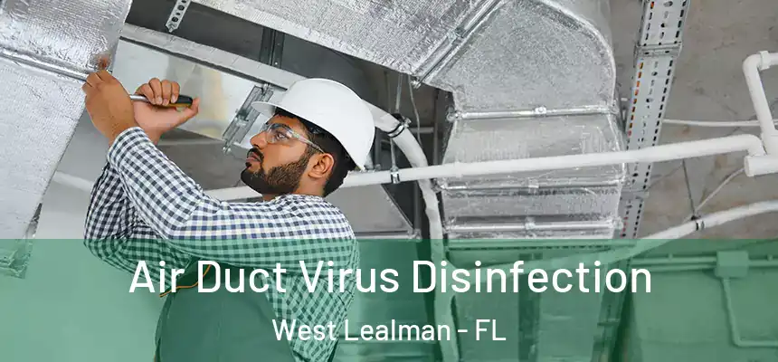 Air Duct Virus Disinfection West Lealman - FL