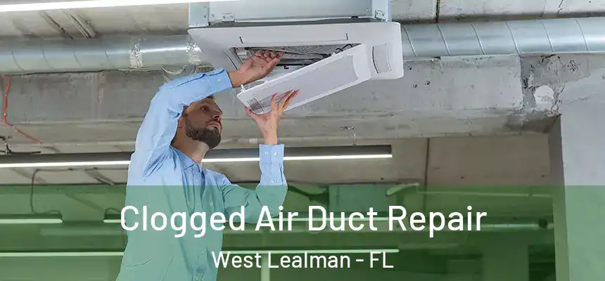 Clogged Air Duct Repair West Lealman - FL