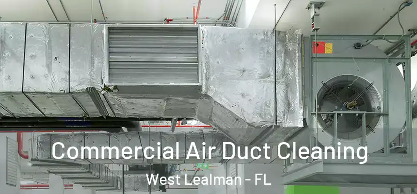 Commercial Air Duct Cleaning West Lealman - FL