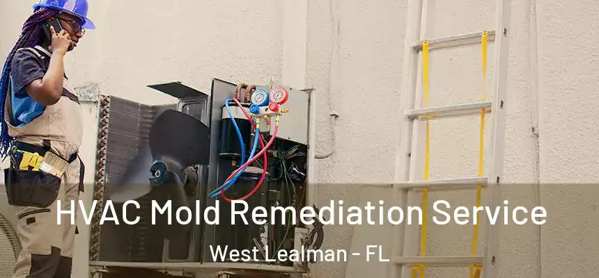 HVAC Mold Remediation Service West Lealman - FL