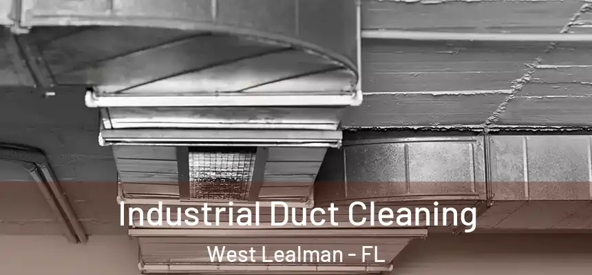 Industrial Duct Cleaning West Lealman - FL