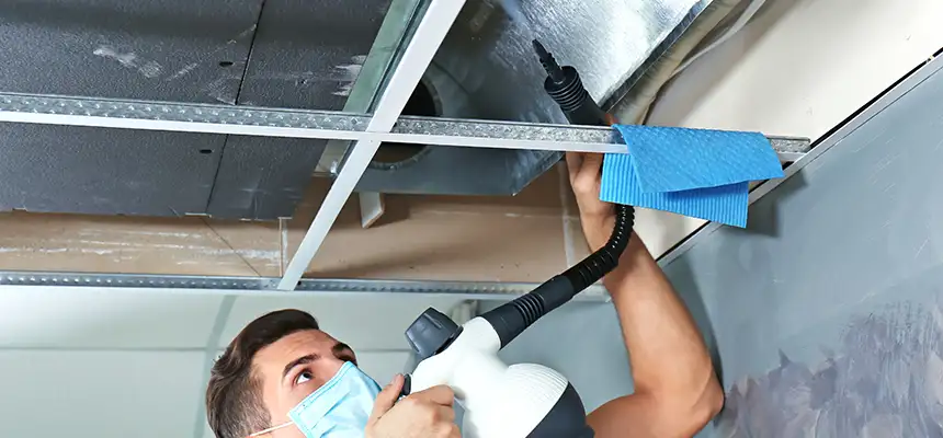 Our Air Duct Rodent Removal Services in West Lealman, FL
