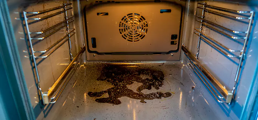 Our Dryer Vent Mold Cleaning Services in West Lealman, FL