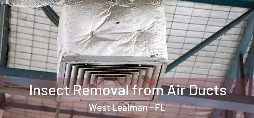 Insect Removal from Air Ducts West Lealman - FL