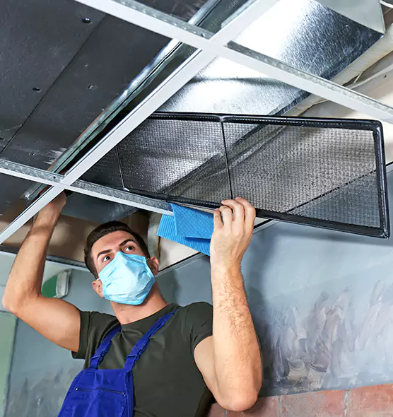 About Air Duct Bacteria Removal in West Lealman