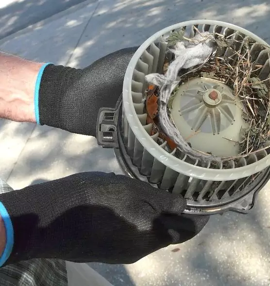 About Air Duct Mice Removal in West Lealman, FL