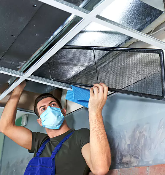 Professional Air Duct Pollen Cleaning in West Lealman, FL