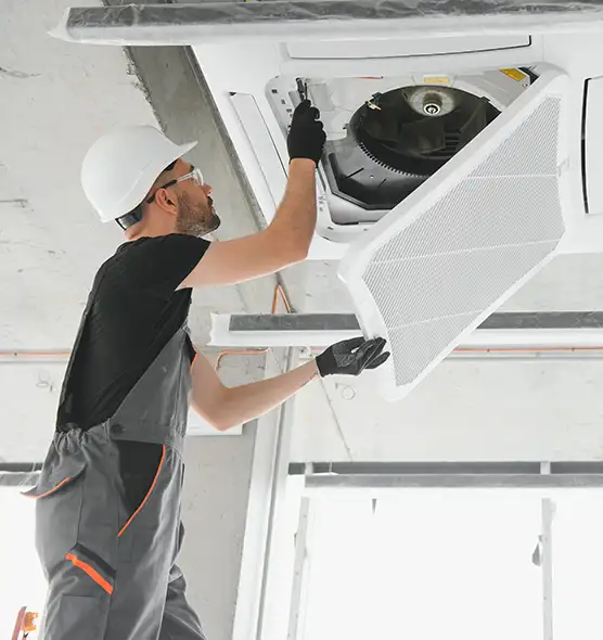 About Air Duct Rodent Removal in West Lealman, FL