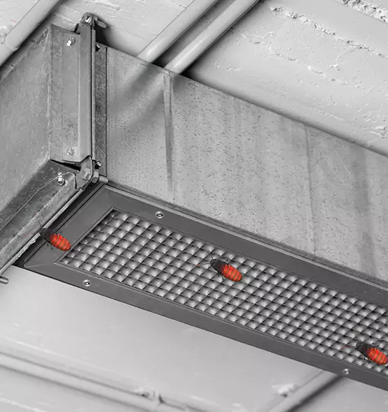 Affordable Insect Removal from Air Ducts in West Lealman, FL